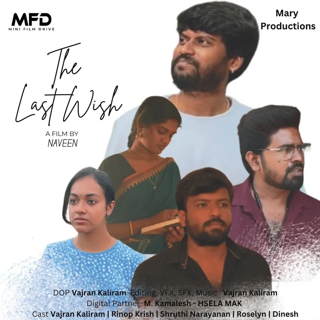 Shruthi Narayanan Career