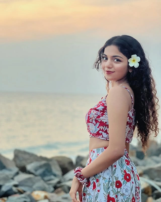 Hansika Krishna Career