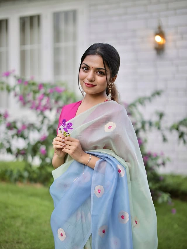 Hansika Krishna Wiki